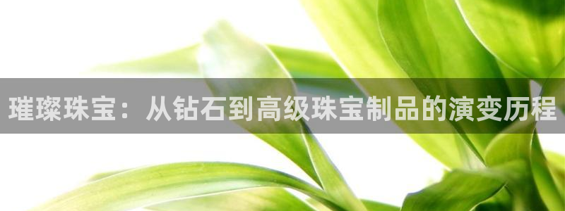 天宏娱乐大叔团唱歌