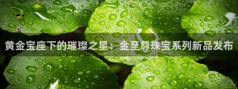 天宏娱乐有限公司