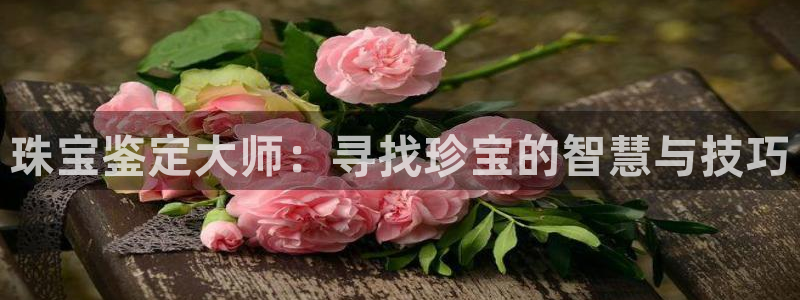 天宏娱乐浗v33300