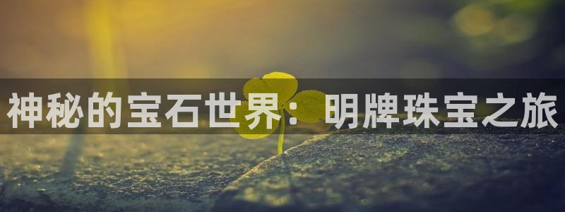天宏娱乐传媒