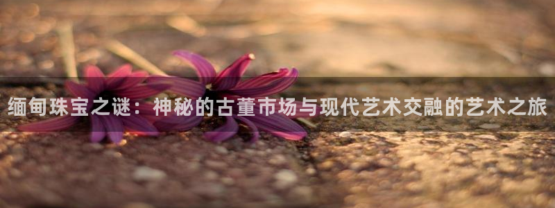 天宏娱乐d 判官