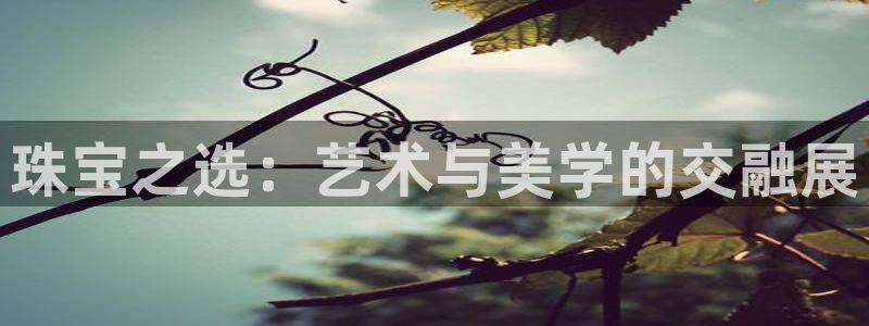 天宏娱乐实f力443593