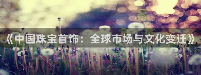天宏娱乐言叔