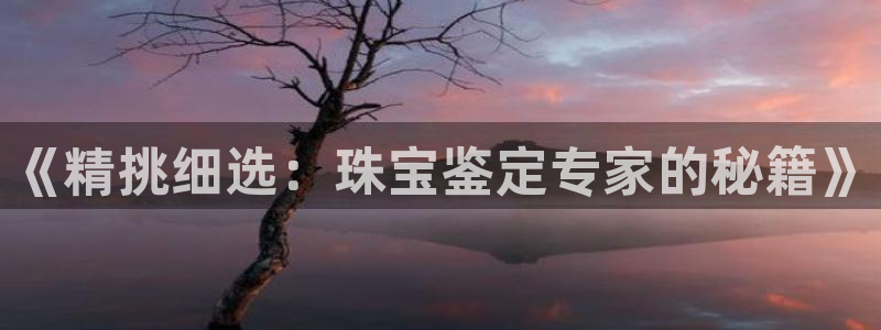 天宏娱乐老板朱俊伟：《精挑细选：珠宝鉴定专家的秘籍》