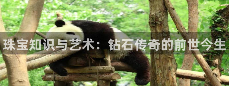 天宏娱乐满意hfqjwl下拉