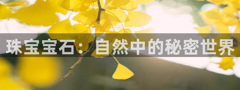 天宏娱乐大叔团唱歌