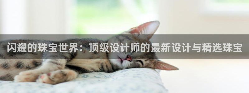 天宏娱乐豆豆