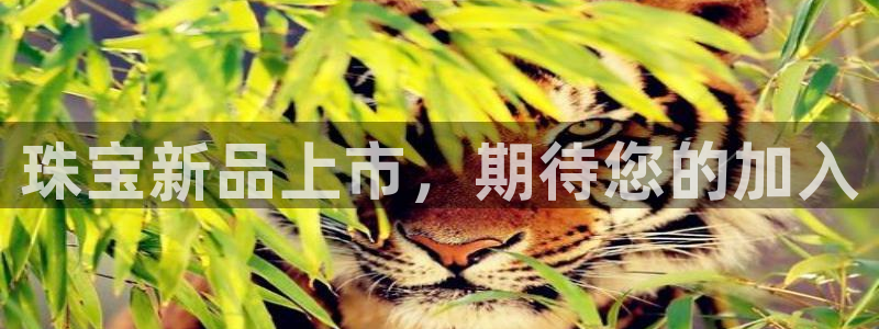 天宏娱乐王叔：珠宝新品上市，期待您的加入
