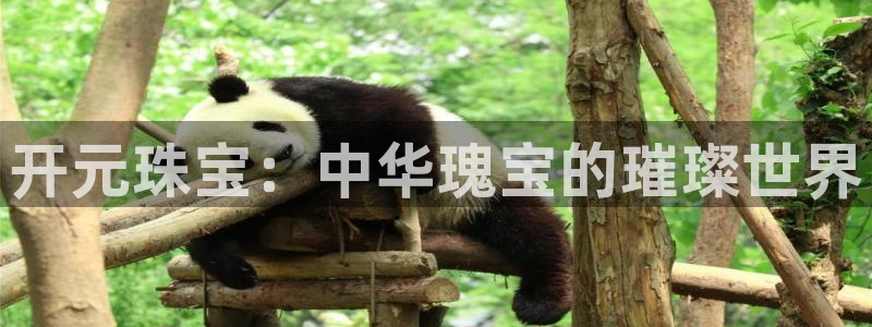 天宏娱乐倒闭了吗最近：开元珠宝：中华瑰宝的璀璨世界