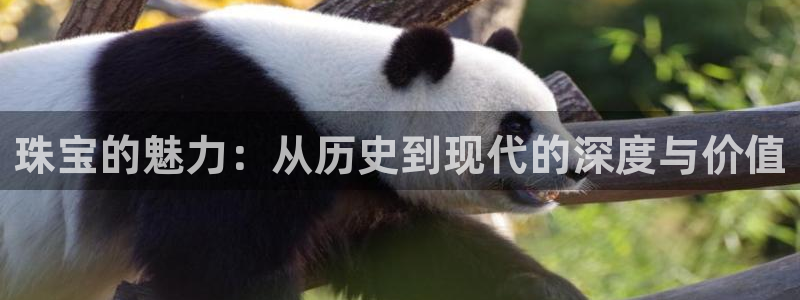 天宏娱乐开业晚宴