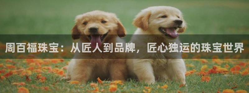 天宏娱乐刘叔