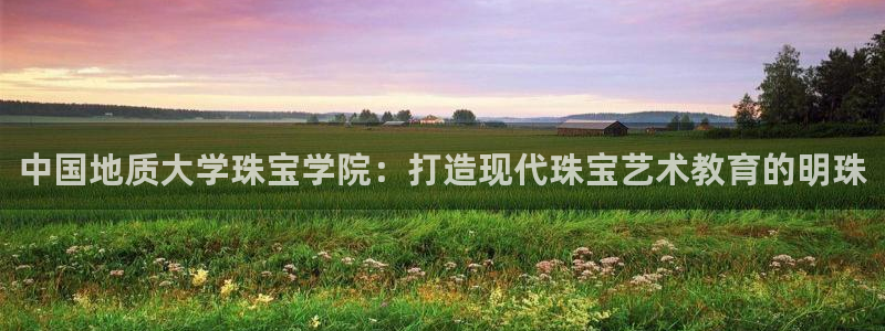 天宏娱乐j 判官：中国地质大学珠宝学院：打造现代珠宝艺术教育