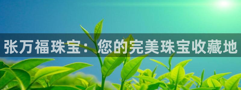 天宏娱乐指定千捷网络：张万福珠宝：您的完美珠宝收藏地