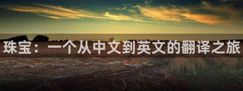 金叔直播天宏娱乐直播