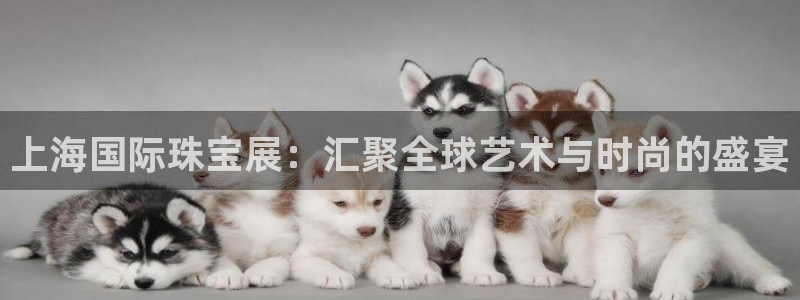 天宏娱乐招商主管