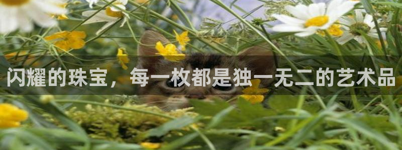 天宏娱乐选择千捷网络