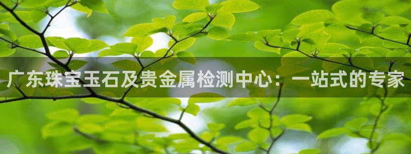 天宏娱乐探索无限空间：广东珠宝玉石及贵金属检测中心：一站式的
