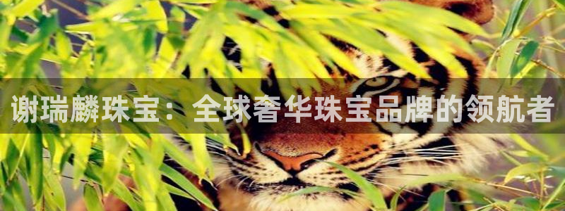 天宏娱乐·v主管管32937：谢瑞麟珠宝：全球奢华珠宝品牌的