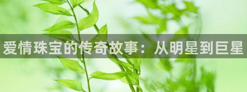 天宏娱乐豆豆团：爱情珠宝的传奇故事：从明星到巨星