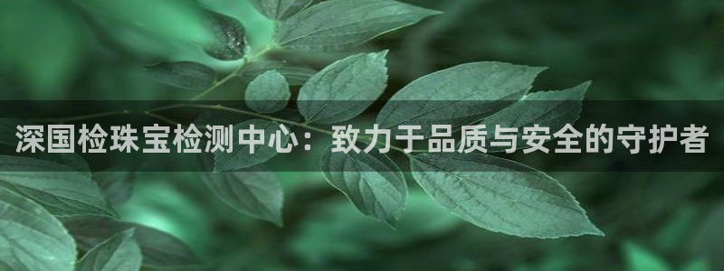 天宏娱乐为什么被骂：深国检珠宝检测中心：致力于品质与安全的守