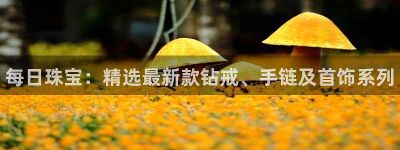 天宏娱乐在哪里：每日珠宝：精选最新款钻戒、手链及首饰系列
