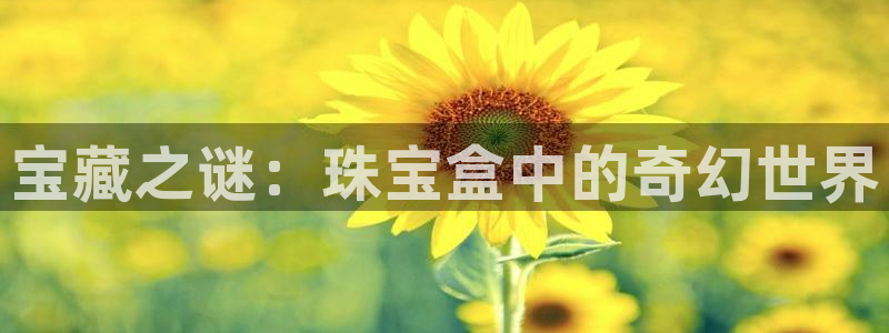 天宏娱乐男神季叔：宝藏之谜：珠宝盒中的奇幻世界