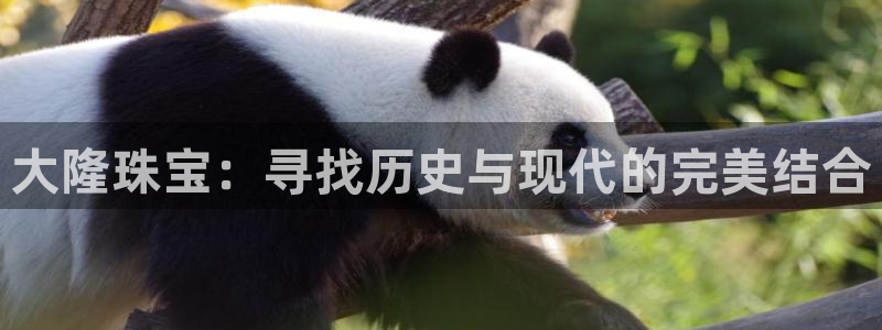 天宏娱乐j 判官