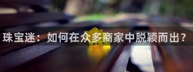 天宏娱乐涛叔