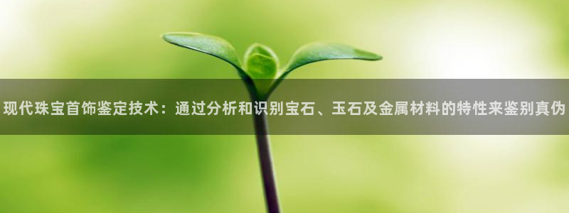 天宏娱乐小号是什么：现代珠宝首饰鉴定技术：通过分析和识别宝石