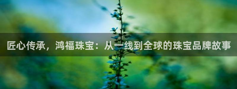 天宏娱乐言叔：匠心传承，鸿福珠宝：从一线到全球的珠宝品牌故事