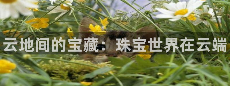 天宏娱乐秦叔老婆：云地间的宝藏：珠宝世界在云端