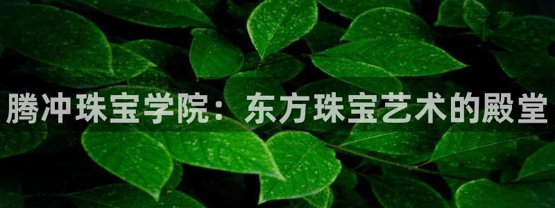 天宏娱乐刘叔：腾冲珠宝学院：东方珠宝艺术的殿堂