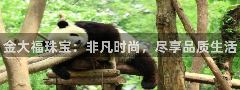 株洲天宏娱乐会所电话：金大福珠宝：非凡时尚，尽享品质生活