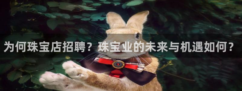 天宏娱乐正在直播：为何珠宝店招聘？珠宝业的未来与机遇如何？