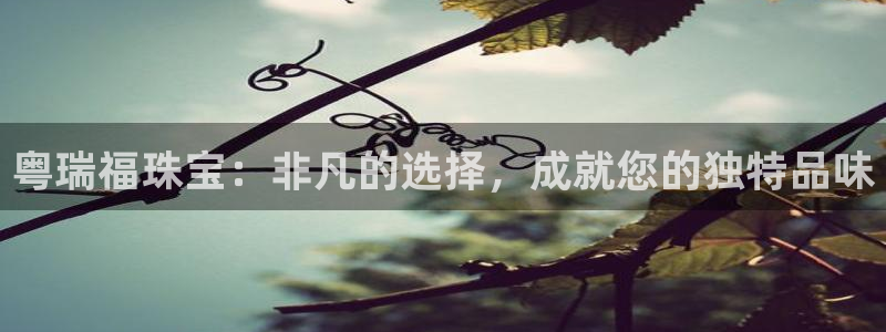 天宏娱乐团