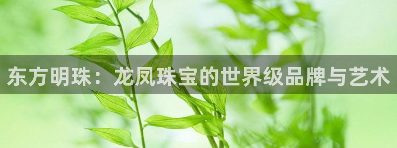 天宏娱乐直播