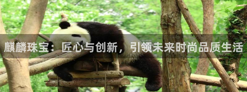 河源天宏娱乐