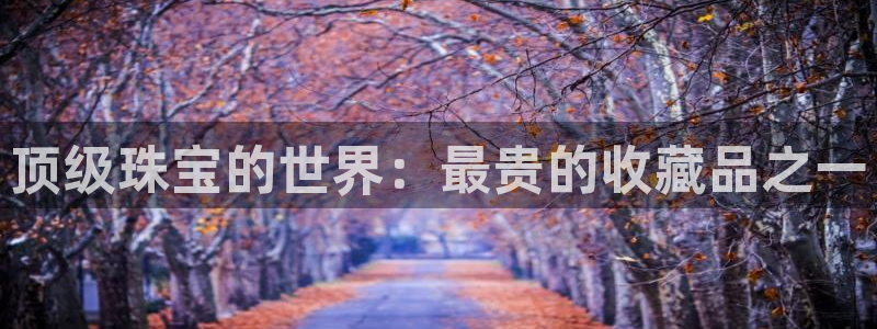 天宏娱乐app 下载
