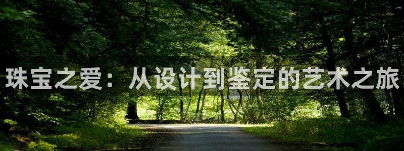 天宏娱乐涛涛