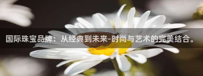 天宏娱乐金大叔：国际珠宝品牌：从经典到未来-时尚与艺术的完美