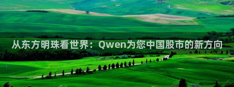天宏娱乐大叔团队介绍：从东方明珠看世界：Qwen为您中国股市
