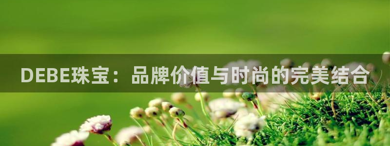 快手天宏娱乐是什么：DEBE珠宝：品牌价值与时尚的完美结合