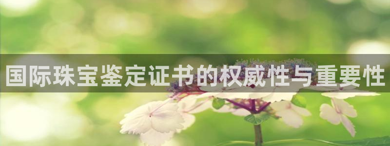 快手天宏娱乐是什么
