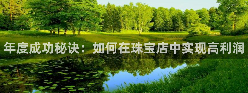 天宏娱乐招商：年度成功秘诀：如何在珠宝店中实现高利润