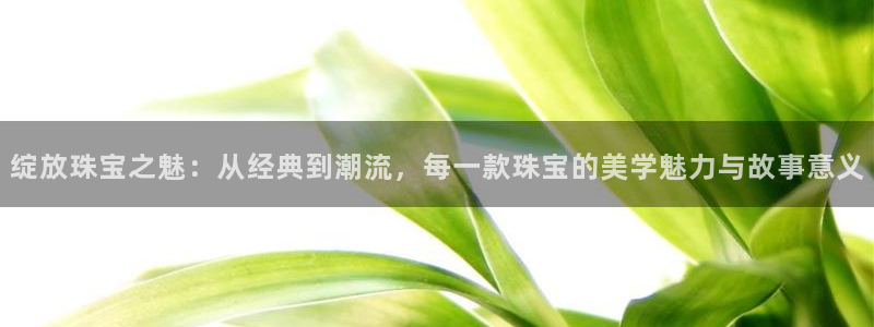 天宏娱乐传媒旗下艺人