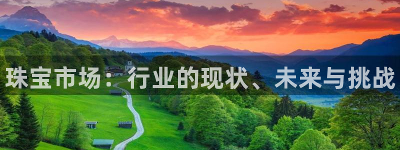 天宏娱乐3：珠宝市场：行业的现状、未来与挑战