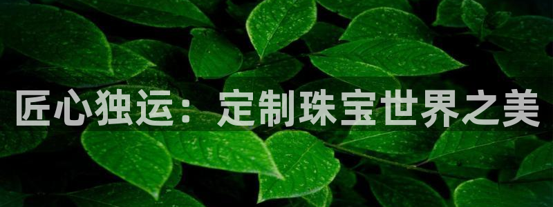 天宏娱乐q34189：匠心独运：定制珠宝世界之美