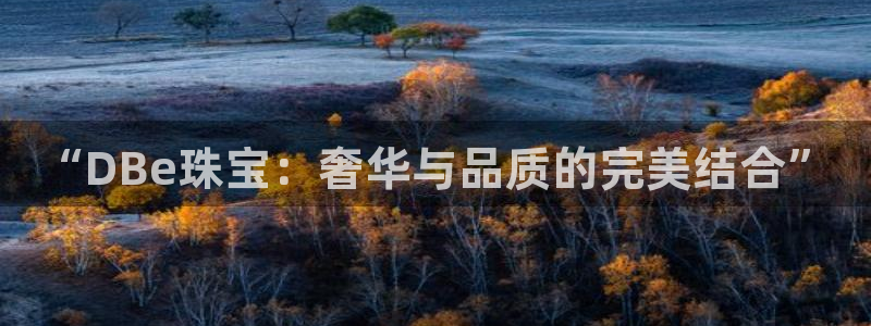 天宏娱乐会员注册：“DBe珠宝：奢华与品质的完美结合”