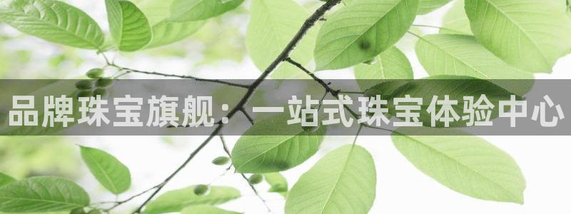 天宏娱乐秦叔老婆