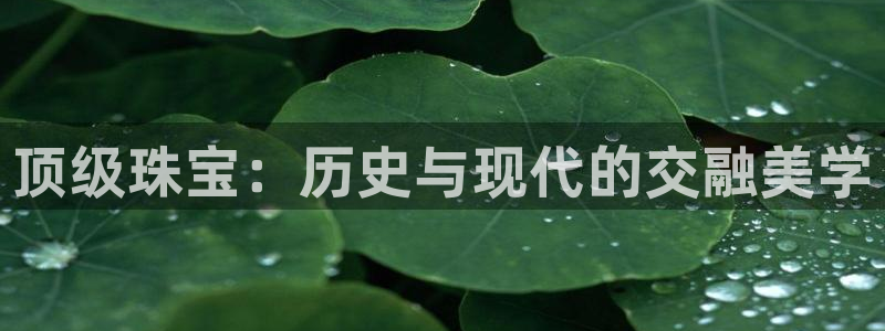 宏天娱乐会所